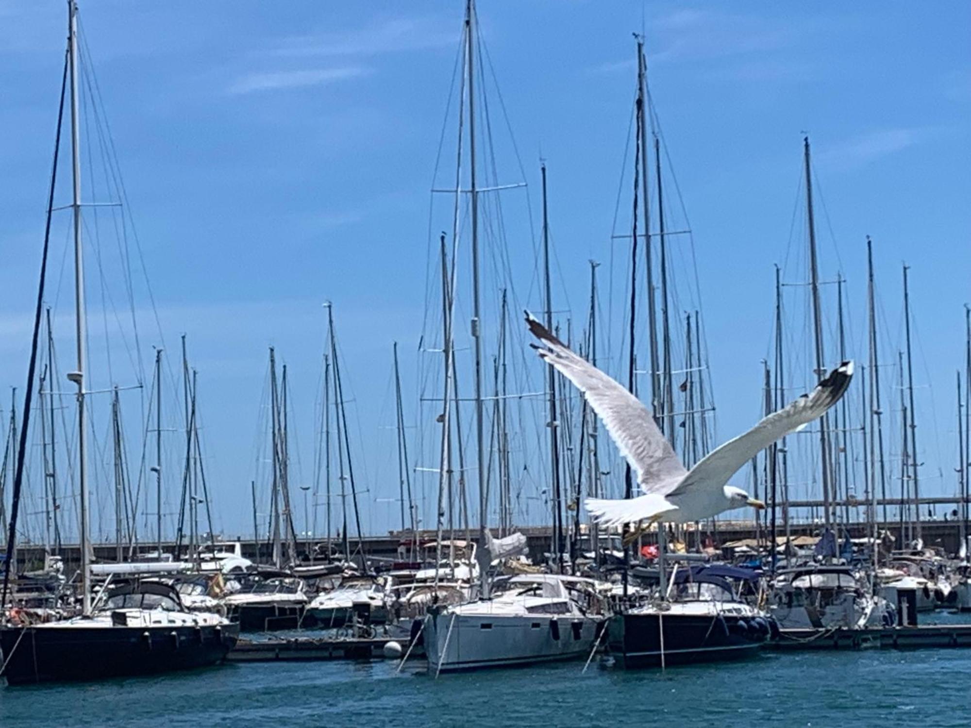 Master&Commander Hotel Valencia Kültér fotó